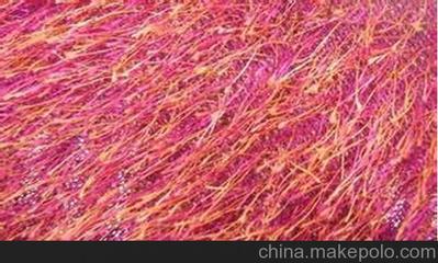 南京松針絨銷售與揚(yáng)州凱潤達(dá)針紡織品 品質(zhì)與信賴的雙重保障